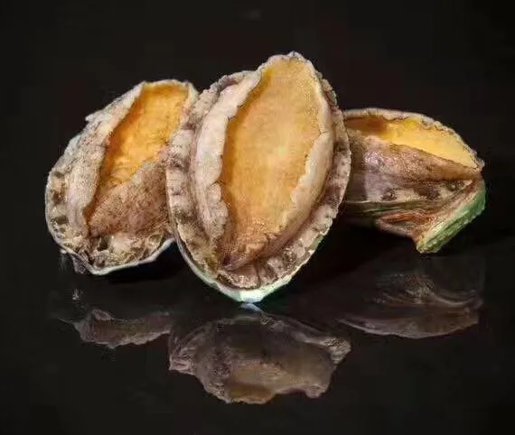frozen abalone