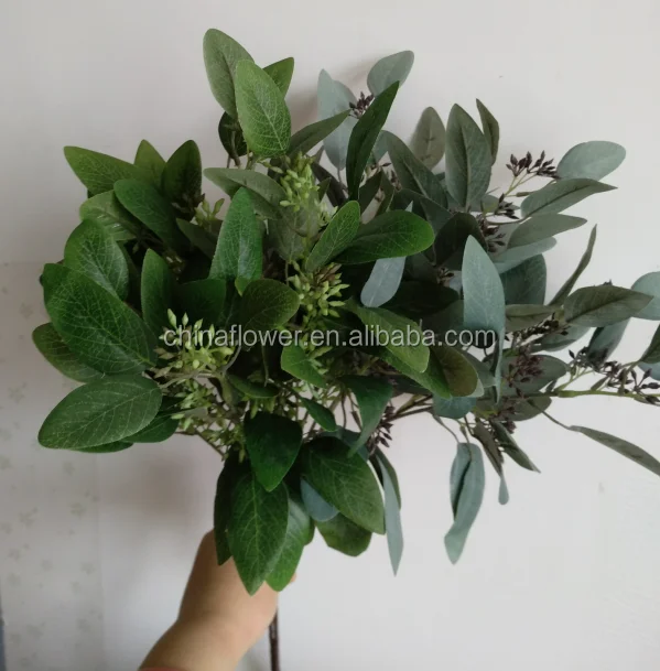 eucalyptus leaves  (2).png