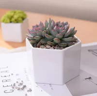 

Windowsill adornment hexagon white ceramic indoor pots for succulent