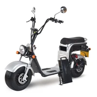 

European Warehouse Stock 2 wheel City Coco EEC COC 3000w 2000w 1500w Electric Scooter Citycoco Fat Tire Seev Citycoco