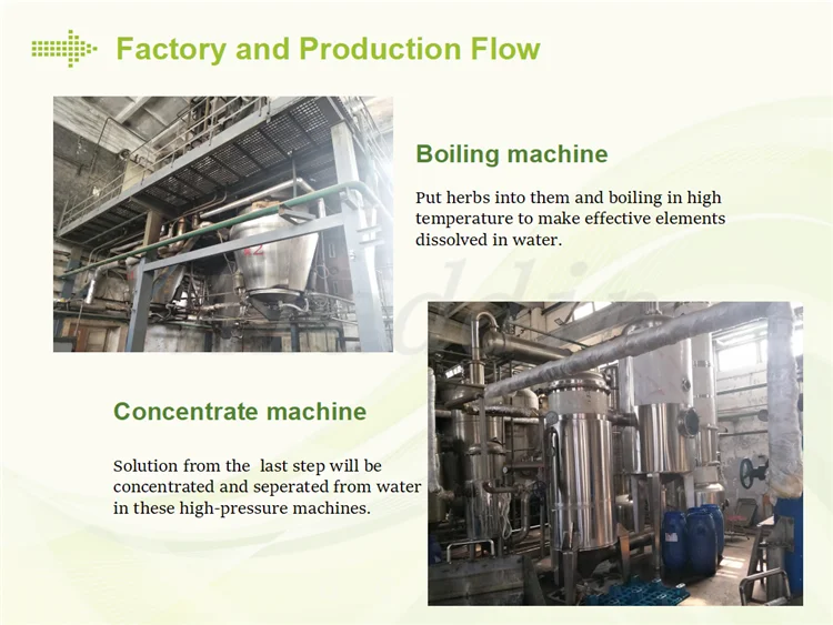 Production factory nutmeg