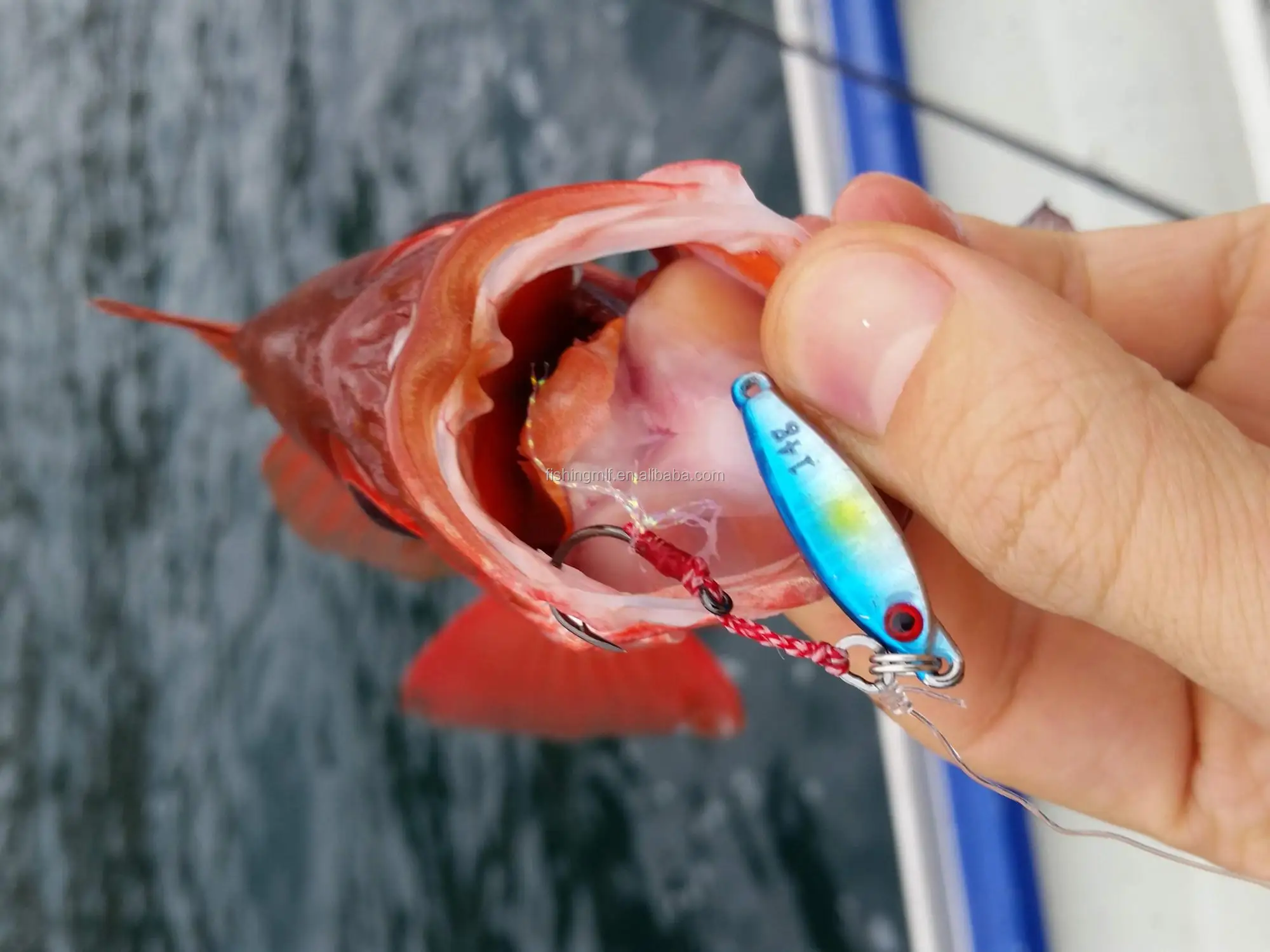 WAKA ASSIST FOR MICRO JIG.jpg