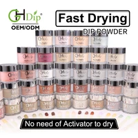 

Guangzhou Factory Wholesale Acrylic Nail Dipping Powder color pigments for dip nail arts