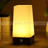 Led Cordless Battery Control Motion Sensor Mood Bedside Night Light