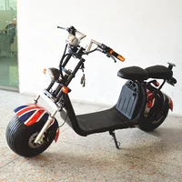 

Popular 2seats adults electric citycoco scooter for sale halei