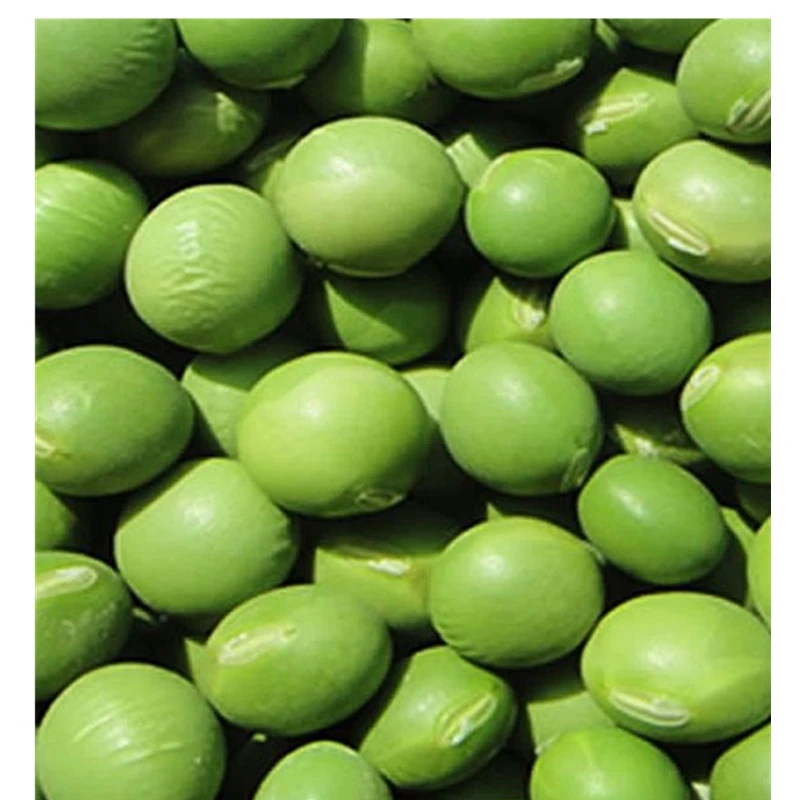 
Best selling IQF frozen green peas 