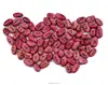 DIY Magic Bean With Wishes For Bonsai Green Office And Home Decoration
