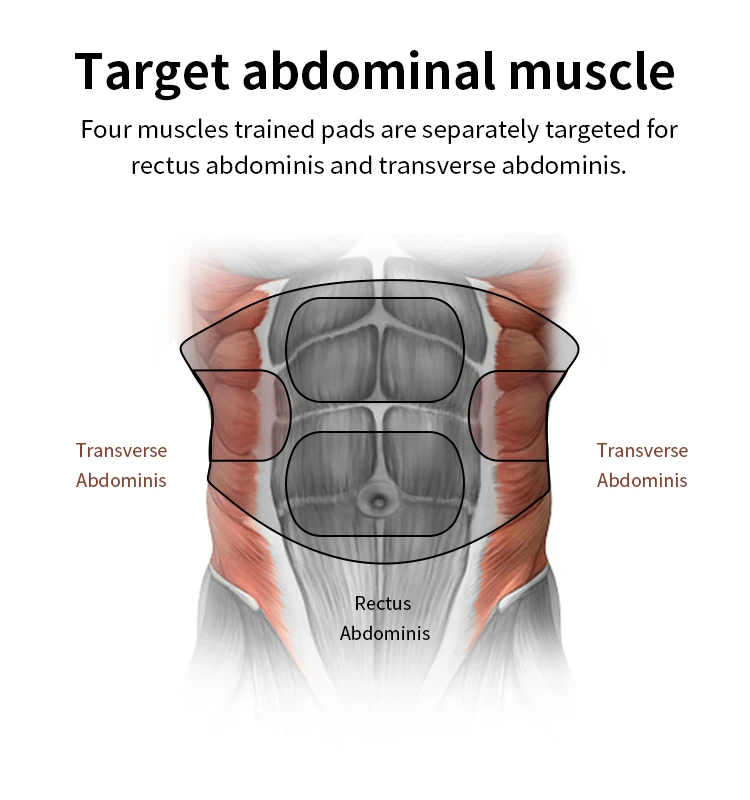 Domas Sm9065f Ems Muscle Stimulator Belt Abs Stimulator Electronic