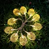 Decorative Led Light - Golden Pineapple String HNL387