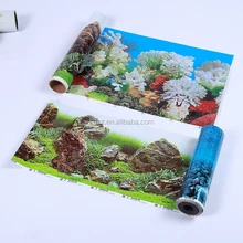 Download 62+ Background Awan Aquarium HD Terbaru