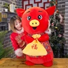2019 pig year mascot doll God of wealth pig dolls stuffed toys plush pig doll company gifts wholesale