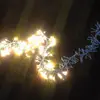 Magic Effect Christmas Illumination Chasing LED firecracker String Light