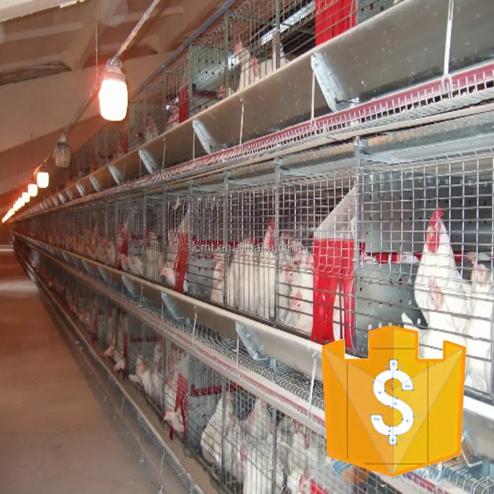 How is price determined for chickens sold as livestock?