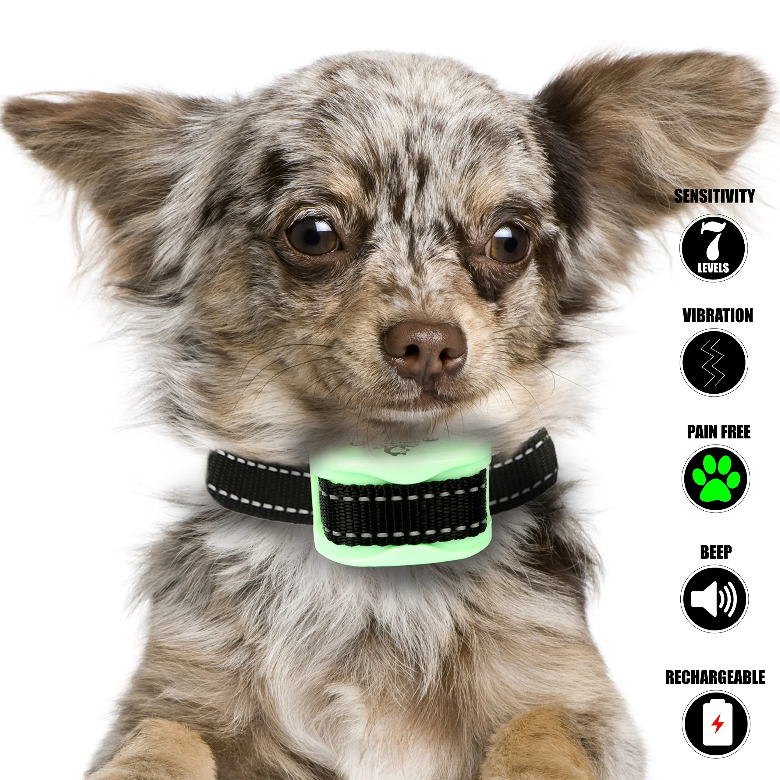 anti barking collar for small dogs