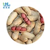 China quality palm kernel cake raw peanut material 7/9 9/11 size