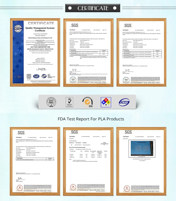 Wholesale Pla Disposable Food Container Plastic Clear Hinged Box