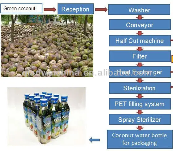 coconut process.jpg