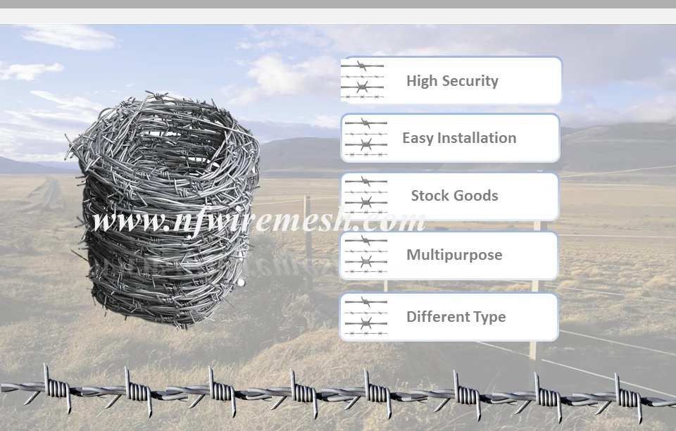 Barb Wire Price Per Roll/galvanized Barbed Wire Farm Fence(guangzhou