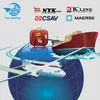 Top shipping Vivian Shenzhen taobao buying agent DHL express from China to italy