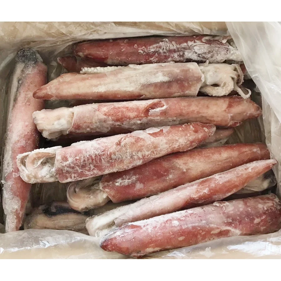 
Loligo chinensis sea frozen squid price 8 13cm 