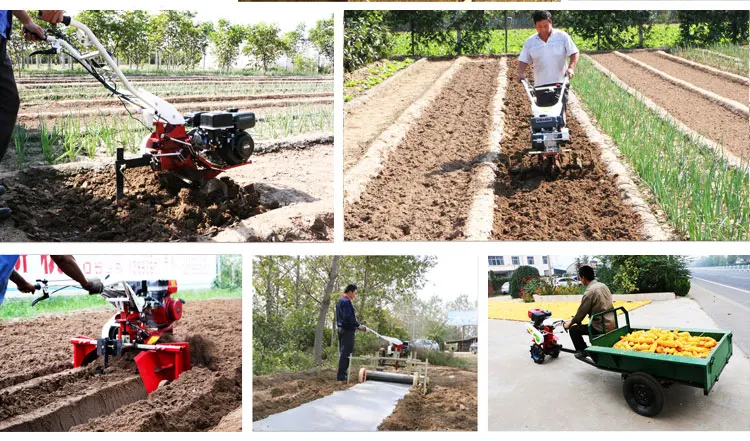 cultivator-tiller_02.jpg