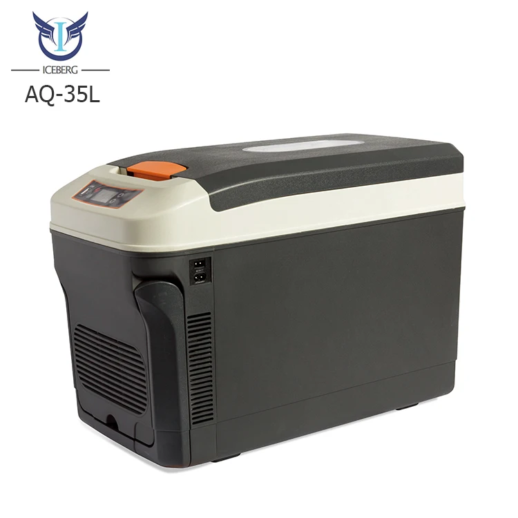 Hot Sale 22l Thermoelectric Mini Portable Camping Outdoor Car