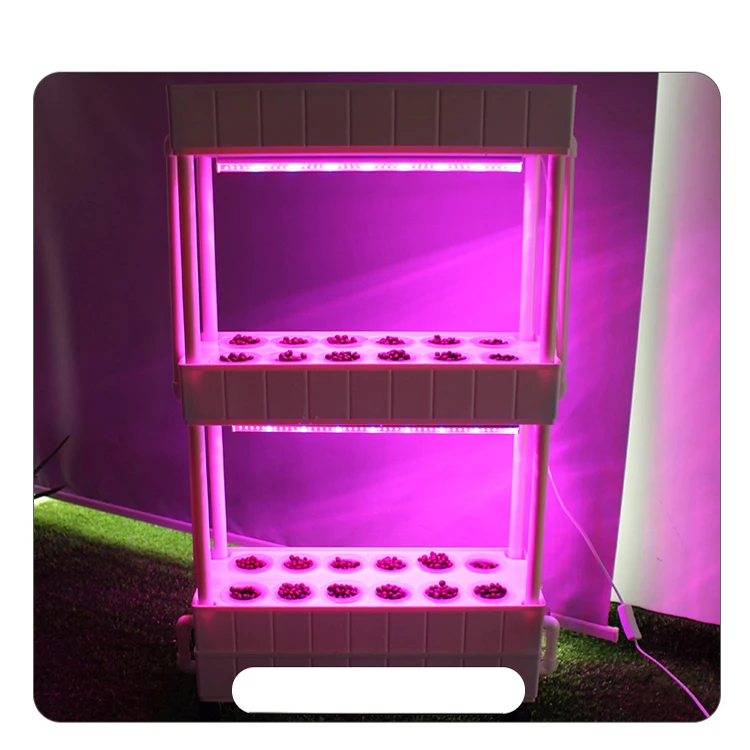 hydroponic system.jpg