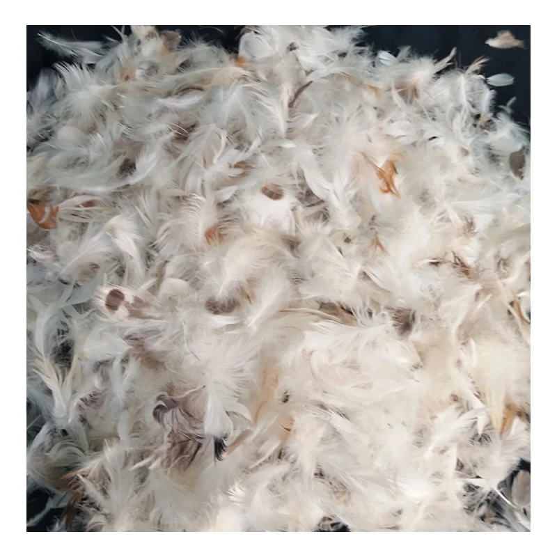 
Wholesale 90% Washed White Duck Down feather Goose Down Feather 