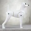 Opawz Pet grooming Model dog for grooming Dog model dog grooming models
