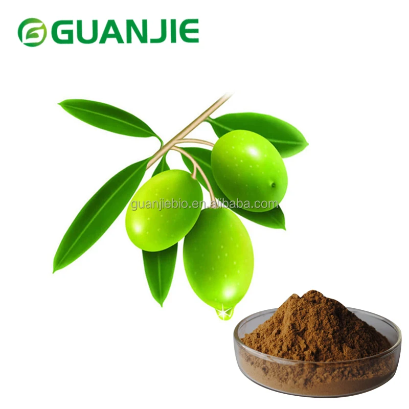 
Natural olive leaf extract CAS 32619-42-4 Oleuropein 