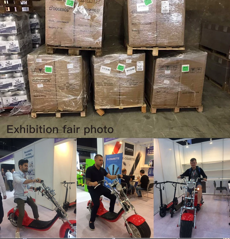 Europe warehouse Citycoco 1000W 12ah Brushless electric fat bike with removable battery for europe