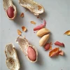 best quality new crop wholesale roasted peanut in shell inshell peanut China origin canned peanut 9/11 11/13