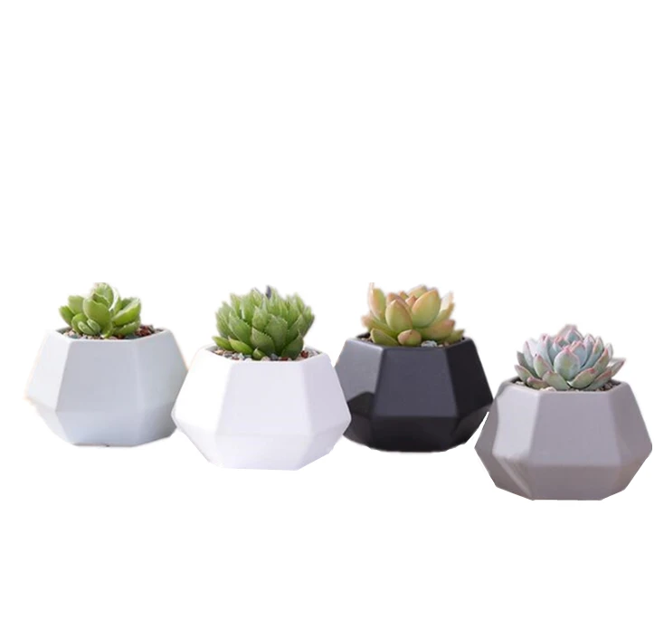 

New deign small hexagon matte porcelain indoor decorative pots planters