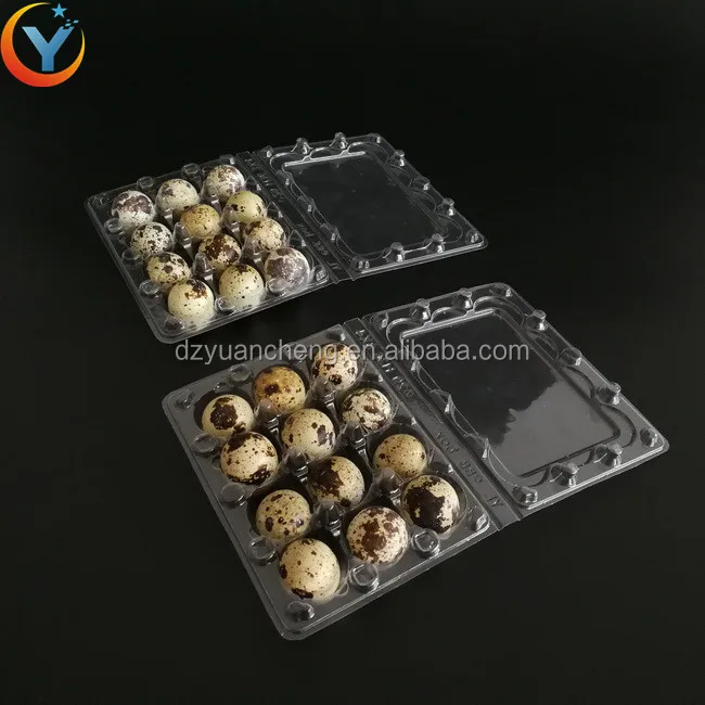 Plastic 12 Pcs And 24 Pcs Quail Egg Tray /quail Egg Packing Box Holder