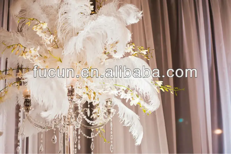 Ostrich feather wedding decoration.jpg