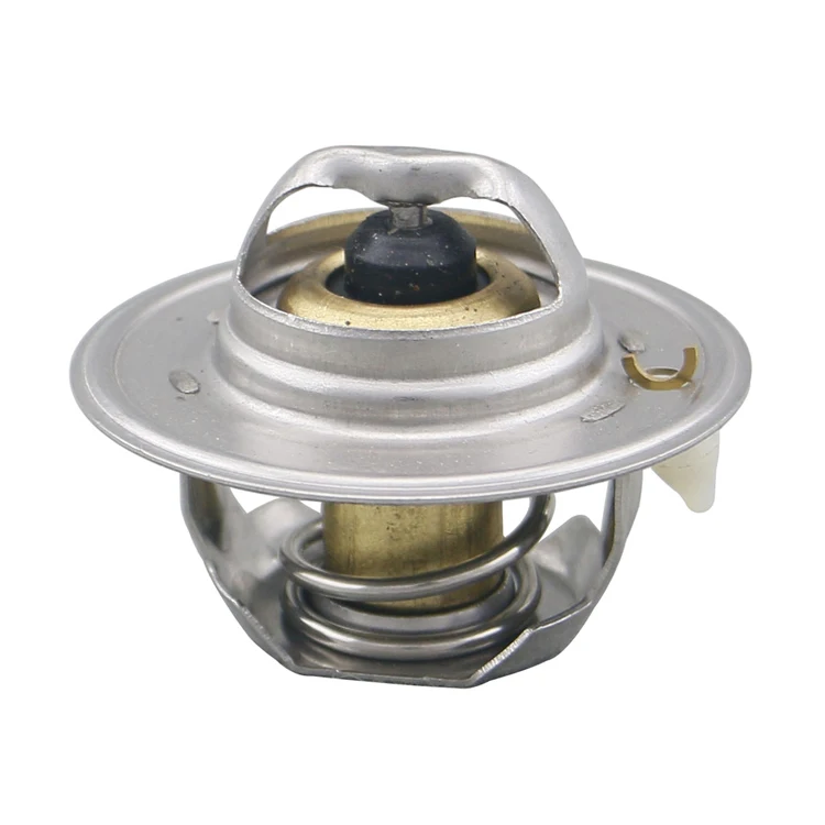 Nice Thermostat Price,Car Engine Thermostat For Auto Parts 2550022600
