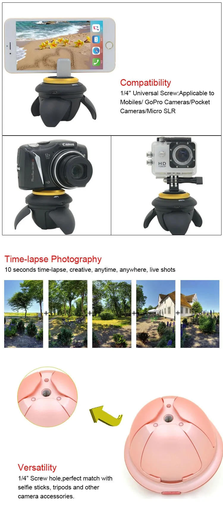 MRP01_03.jpg