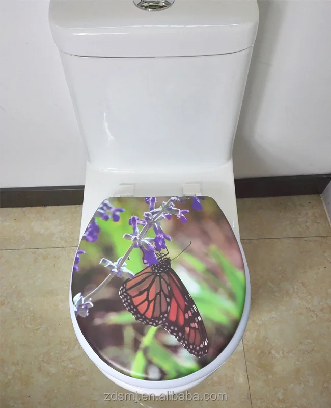 toilet seat2.jpg