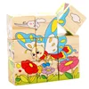 Insect Set 9 Grain Puzzle Cube Magic Building Blocks