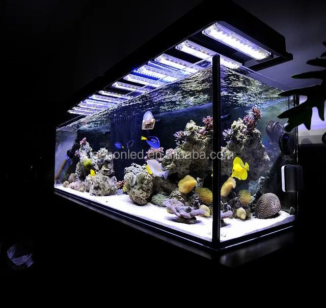 aquarium black light fixtures
