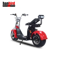 

1500w Cheap Price High End Premium citycoco electric scooter with pedals For Austria