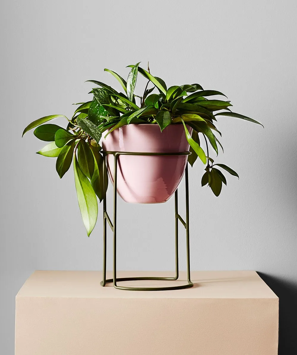 金属铁丝花盆架表的核心花卉支架用于婚礼