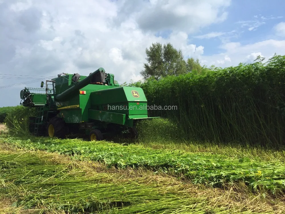 
99% hemp extract Cannabidiol CBD Isolate Powder 