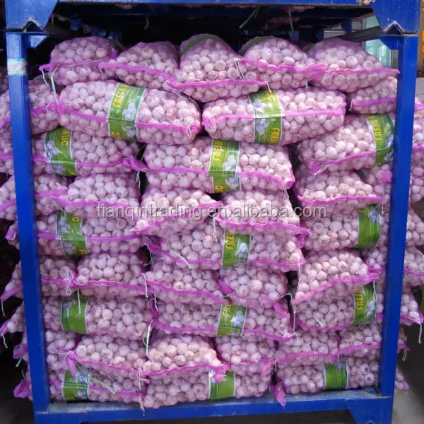 
20kg bags garlic for Congo 