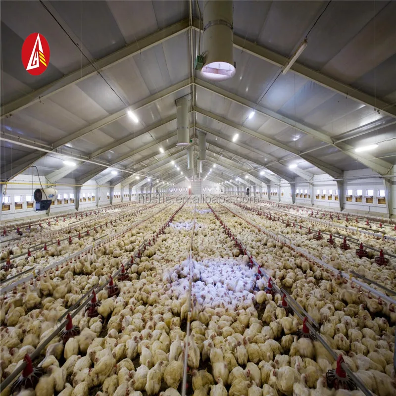 Beli indonesian set lot murah grosir indonesian set galeri gambar di