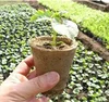 Best super absorbent polymer use in agriculture(SAP)
