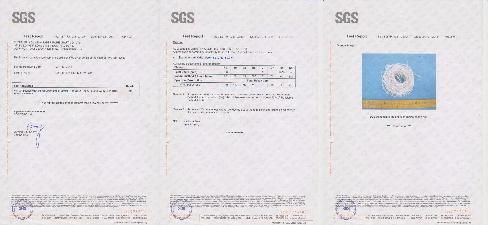 SGS2.jpg