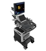Dual touch screen monitor high performance 3D 4D trolley type color doppler ultrasound machine price attractive TC32P