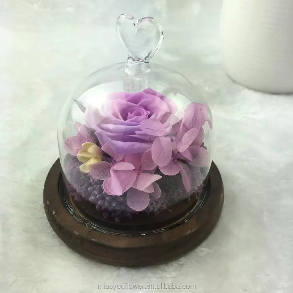 Wholesale Preserved Roses In Glass Dome Long Lasting Roses In Glass ...