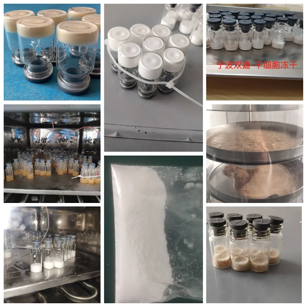 SJIA-18N 6kgs/24h laboratory Freeze Drier freeze dryer lyophilizer